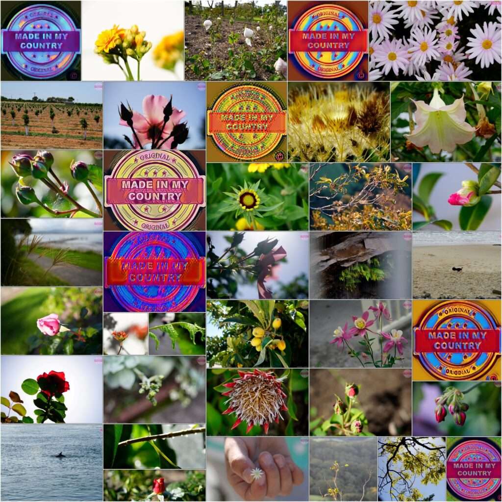 MadeinMycountry is a global platform that celebrates and supports local history, culture, art and nature conservation efforts. For two decades, we have been sponsoring local museums, cultural organizations, travel destinations, historical sites and various cultural events around the world.